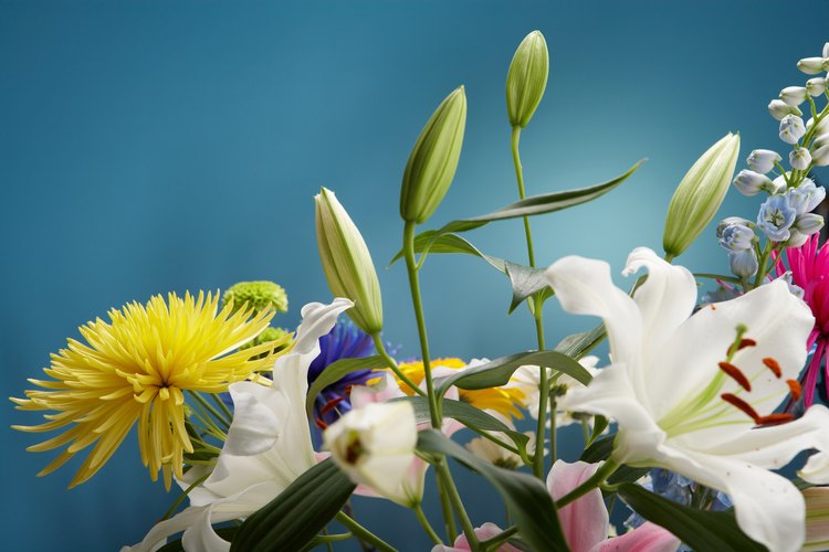 El cuidado adecuado convierte a los capullos frescos en flores vibrantes.