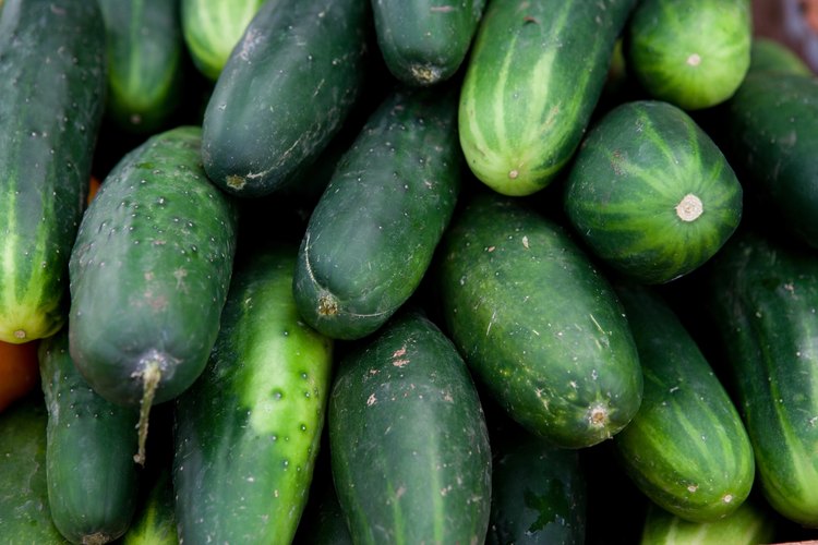 Un número de variedades de pepino con forma redonda existe.