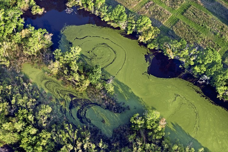 El fósforo del suelo eventualmente encontrará su camino hacia el agua.