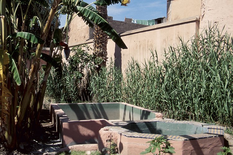 Las casas en climas desérticos necesitan permanecer frescas y conservar agua.