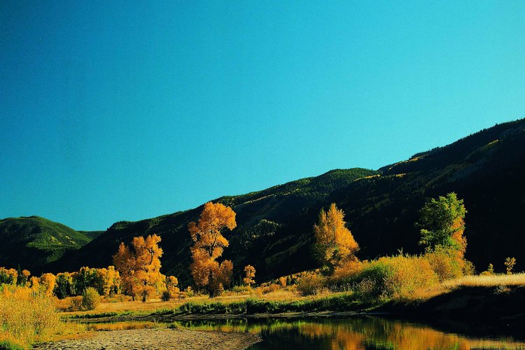 Observa el reflejo de álamo amarillo en un río cerca de Aspen.