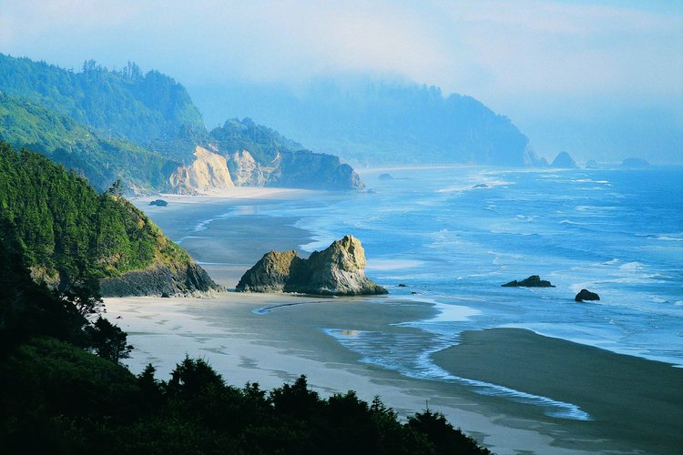 Disfruta del hermoso paisaje de Lane County, en Oregon.