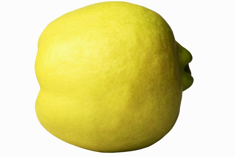 El membrillo es una fruta antigua que se relaciona con las manzanas y las peras.