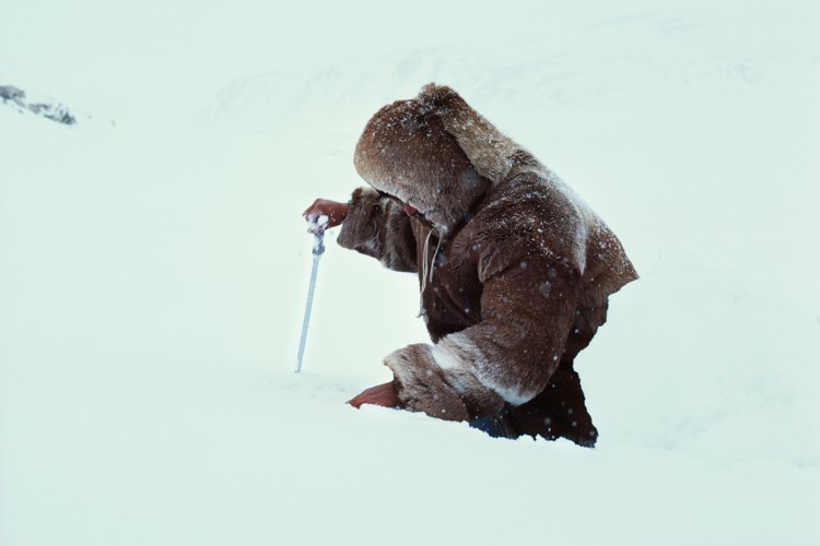 Los nativos de Alaska viven en climas árticos.