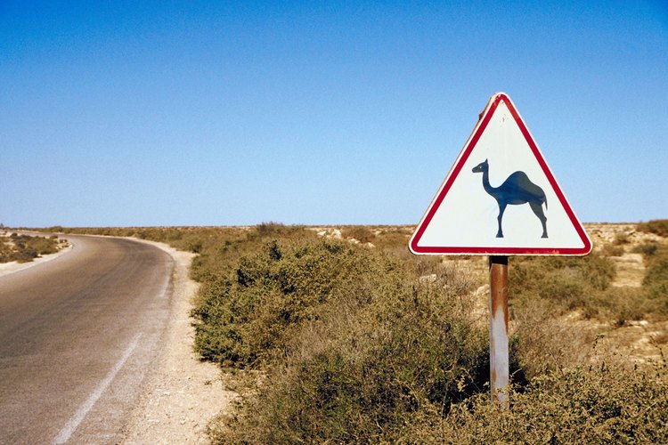 Desierto.