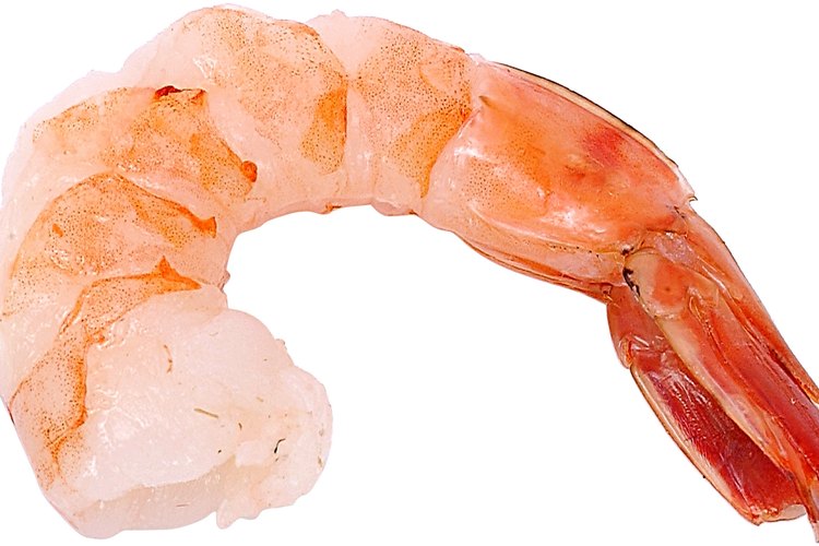 Los langostinos pertenecen a la familia de los crustáceos.