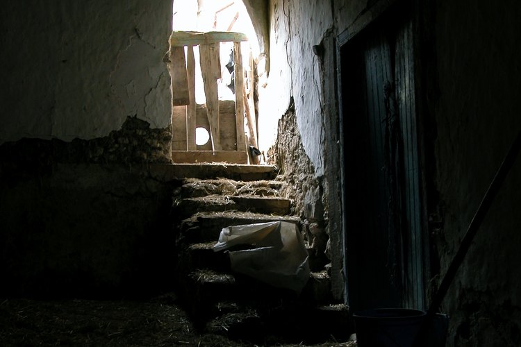 Una casa subterránea es autosustentable y amable con el medio ambiente.