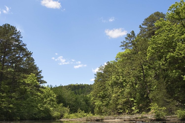 Las cascadas son muy abundantes a lo largo de muchas excursiones en Arkansas.