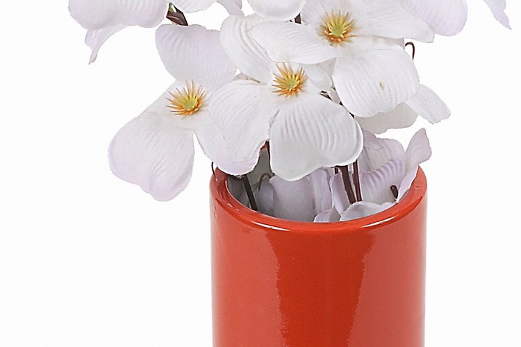 Las orquídeas terrestres a veces presentan raíces tuberosas. En las orquídeas epífitas, en cambio, las raíces son aéreas y están muy desarrolladas.