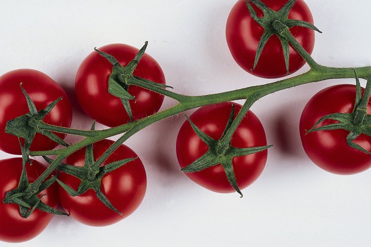 Cultiva tus tomates.