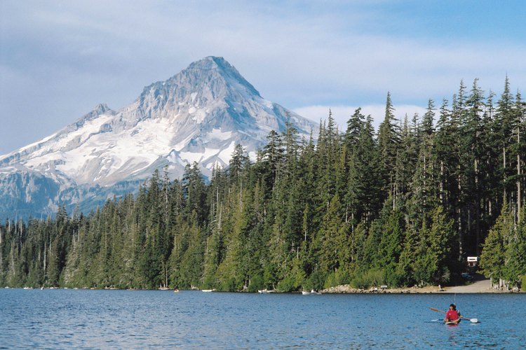 El volcán homónimo Mount Hood National Forest domina mucha de las vistas.