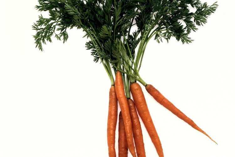 Las raíces de vegetales y los tubérculos crecen bajo tierra.