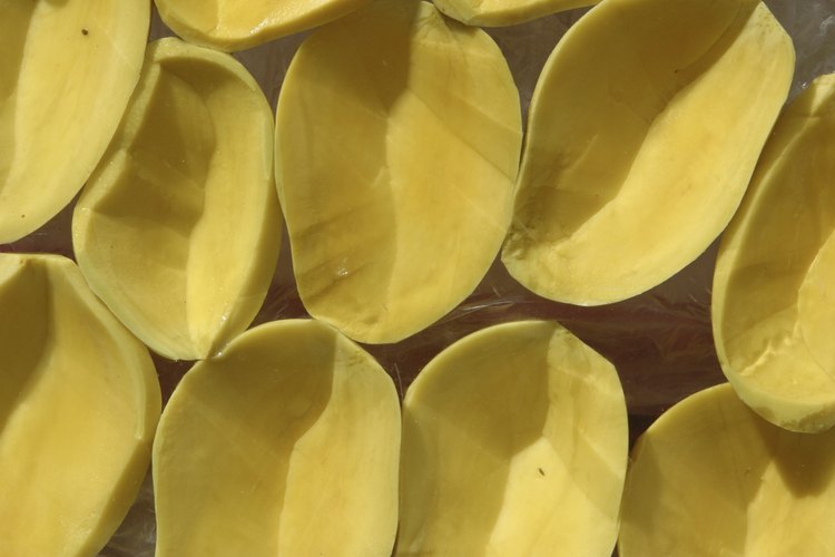 Los mangos son una especie tropical nativa de la India y Asia Sur-Oriental.