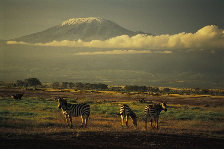 El Kilimanjaro sobre las nubes puede resultar un ascenso demasiado difícil para muchos.