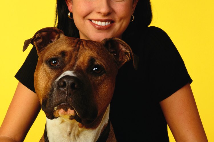 Los dueños que aman a sus pit bulls usan sus perreras de manera adecuada.
