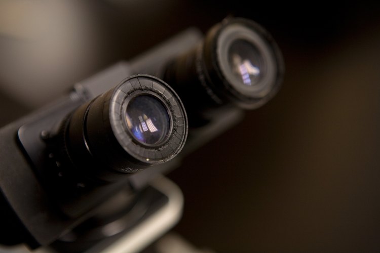 Los microscopios de lata potencia pueden observar las funciones a nivel celular.