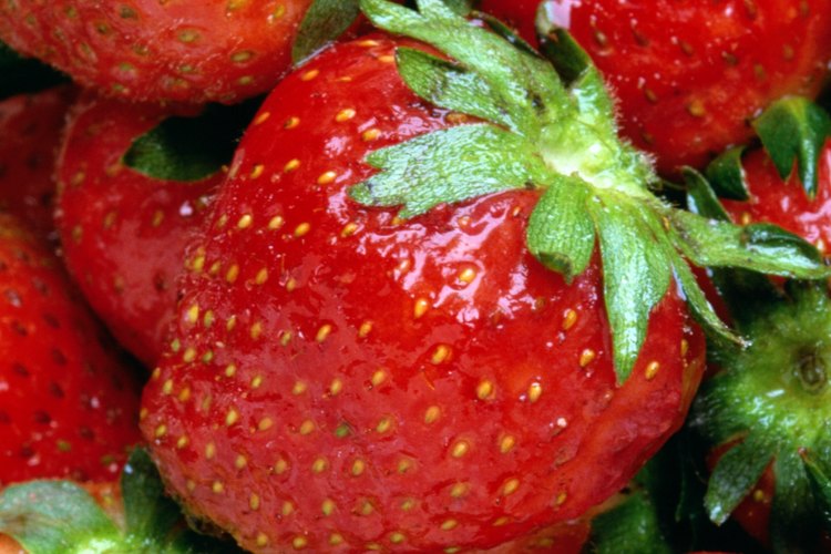 Las fresas son una fruta popular en los huertos familiares.