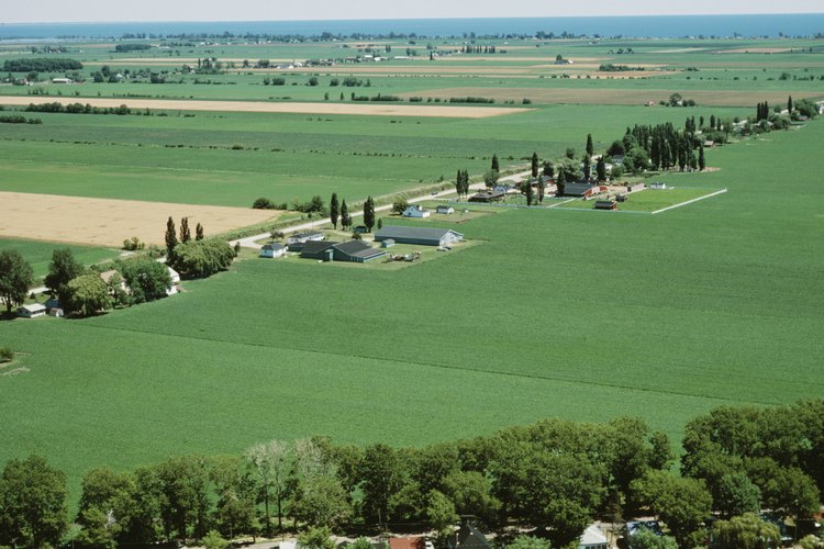 Los pro y los contra de vivir en el campo son abundantes.
