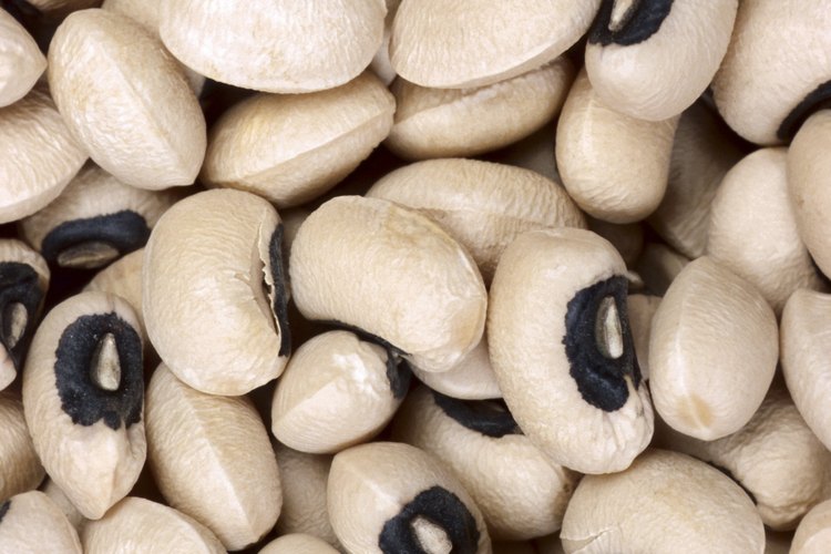 Los frijoles refritos pueden mezclarse con diferentes comidas.