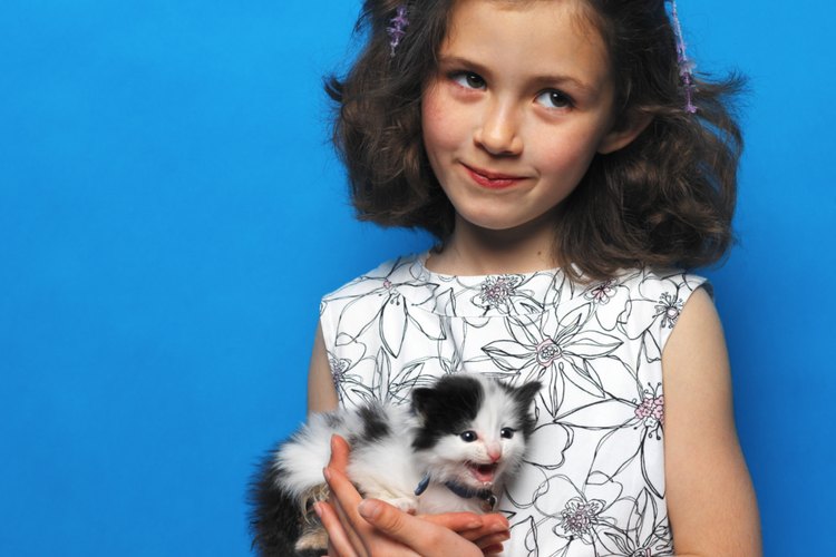 A veces, un gatito demasiado juguetón necesita ayuda para calmarse.