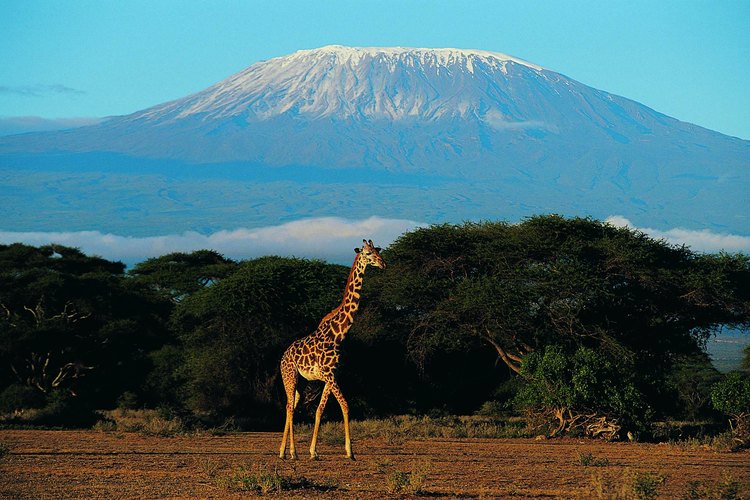 Los glaciares del monte Kilimanjaro atraen a miles de visitantes cada año.