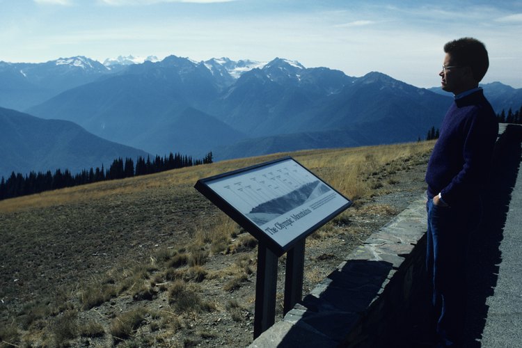 Hurricane Ridge es la pieza más accesible de las tierras altas de Olympic.