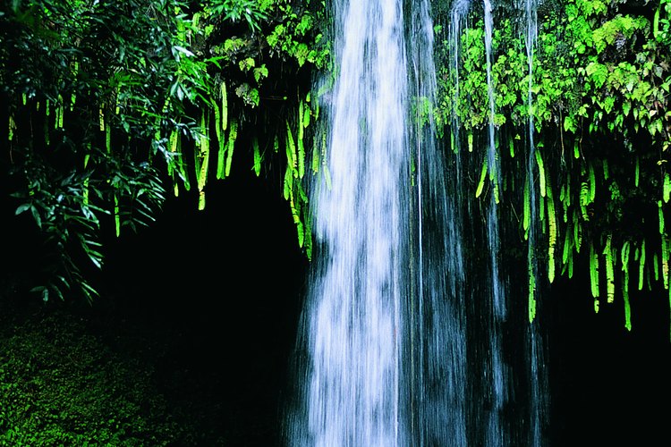 Una cascada en la costa Hana establece el ánimo.