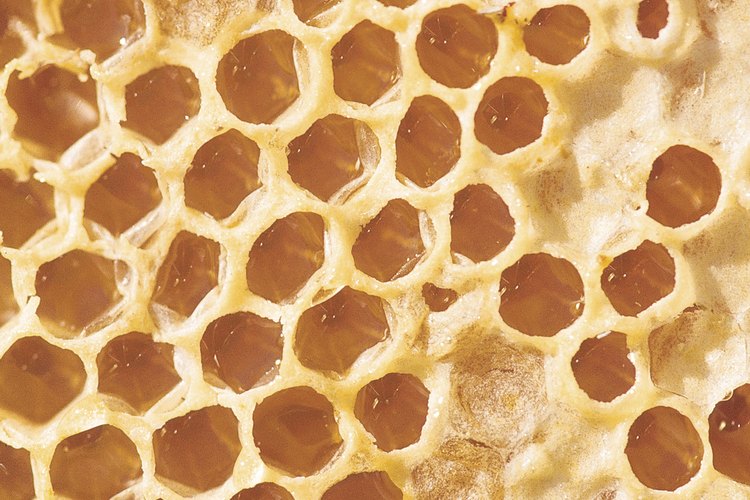 Panal de abejas.