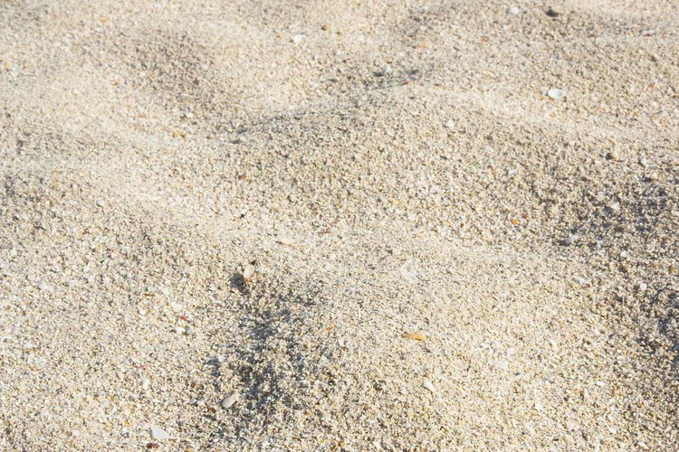 No utilices arena de la playa, ya que está llena de sales y otros contaminantes.