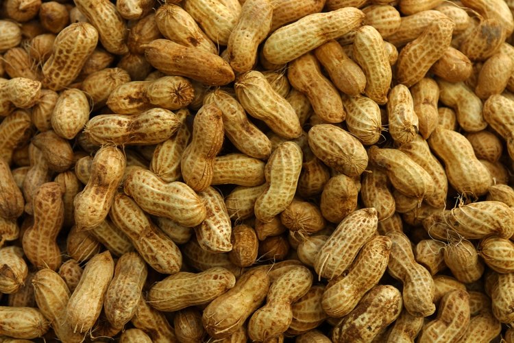 Nueces.