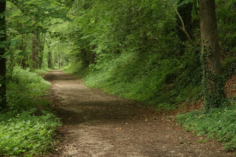 Los caminos de la isla son ideales para montar en bicicleta.