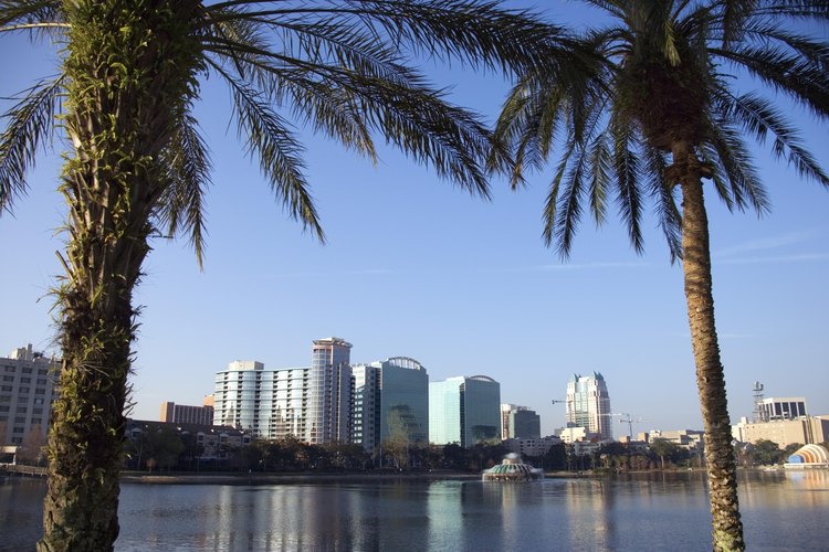 Disfruta Orlando con cualquier clima.