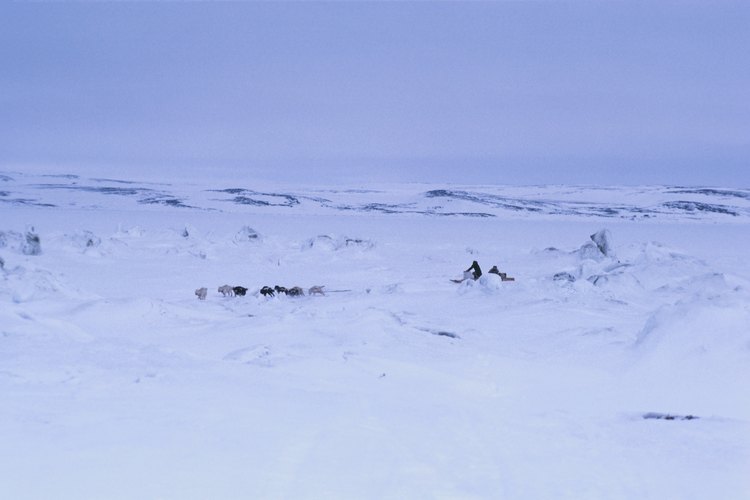 Los Inuit sobrevivieron en el frío extremo.