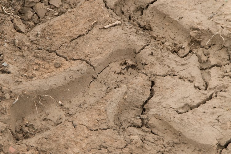Las prácticas agrícolas no sustentables contribuyen a la erosión del suelo.