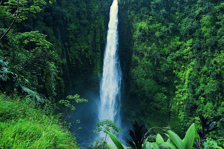 Hawaii cuenta con selvas tropicales exhuberantes.