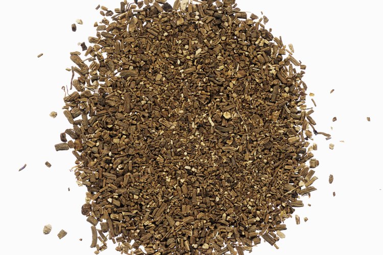 La raíz de la valeriana se pulveriza para utilizarse como sedante natural.