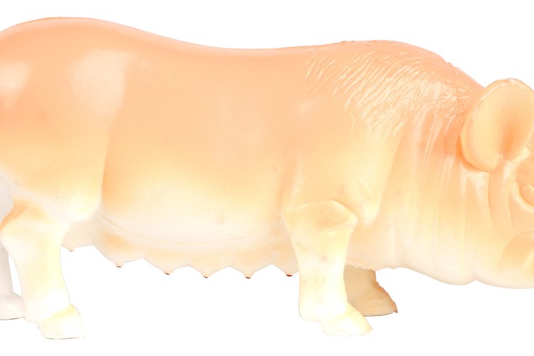 Busca la cabeza de cerdo en una carnicería de tu localidad para conseguir un corte fresco de carne.