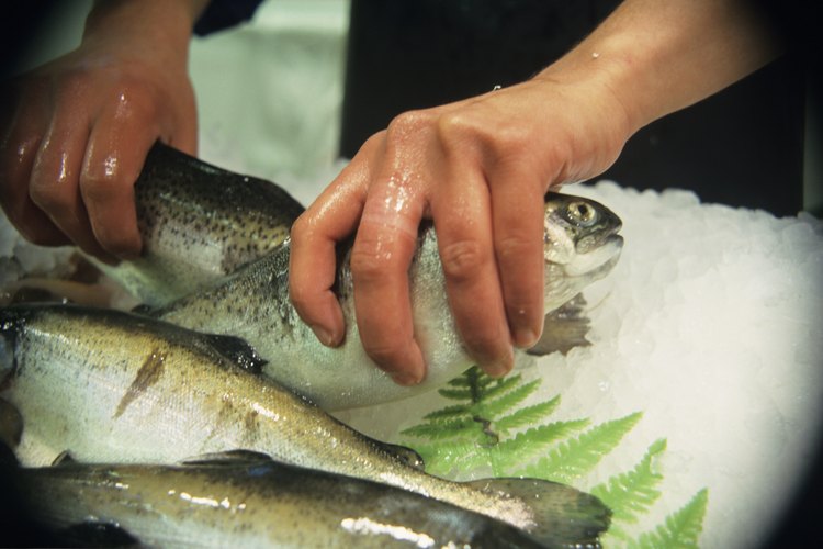 Cómo cocinar filetes de tilapia en el horno.