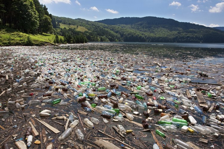 La contaminación perjudica a los ecosistemas.