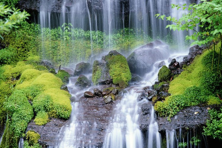 Escalones de piedra siguen un sendero de 19 cascadas en Watkins Glen State Park.