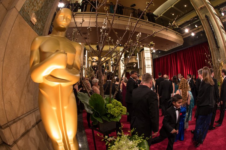 Los más ganadores de los premios Oscar.