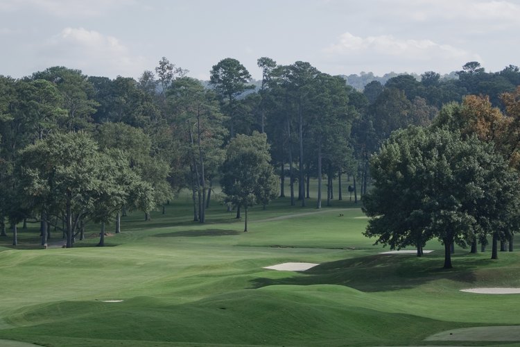 Paisaje de Alabama.