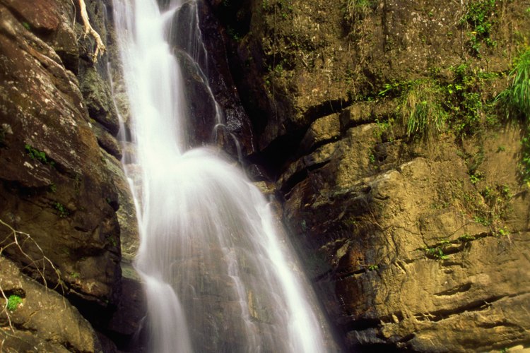 La cascada de la Mina fluye a través de la Reserva Nacional El Yunque.