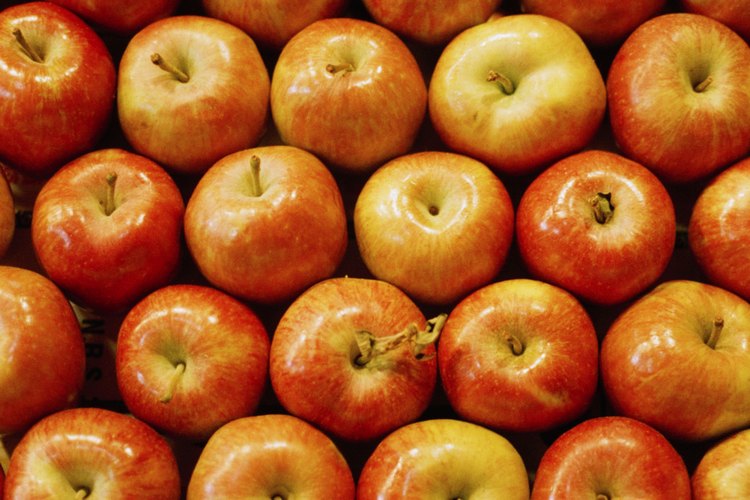 Johnny sembró árboles de manzana por todo el medio oeste de Estados Unidos.