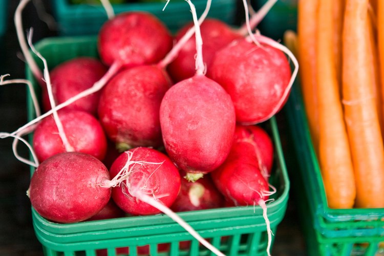 Los pepinos, las zanahorias y los rábanos pueden ayudar a aliviar los síntomas de acidez.