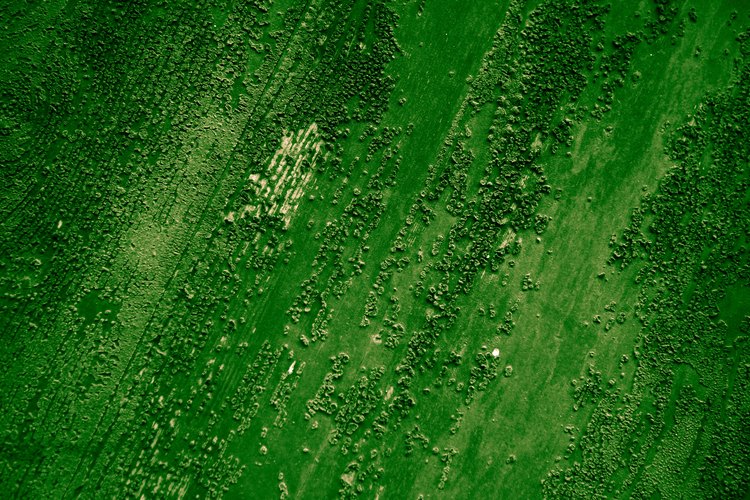 El verde viene en una gran variedad de tipos para usos diferentes.