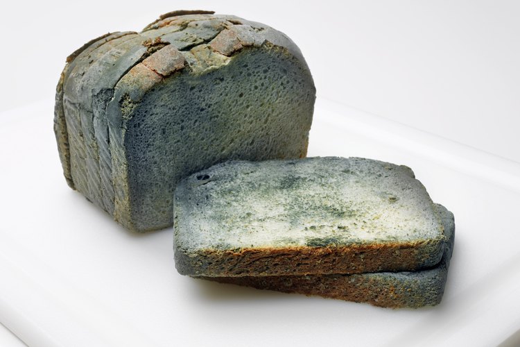 Una vez que los hongos anidan en los alimentos, se propagan rápidamente.