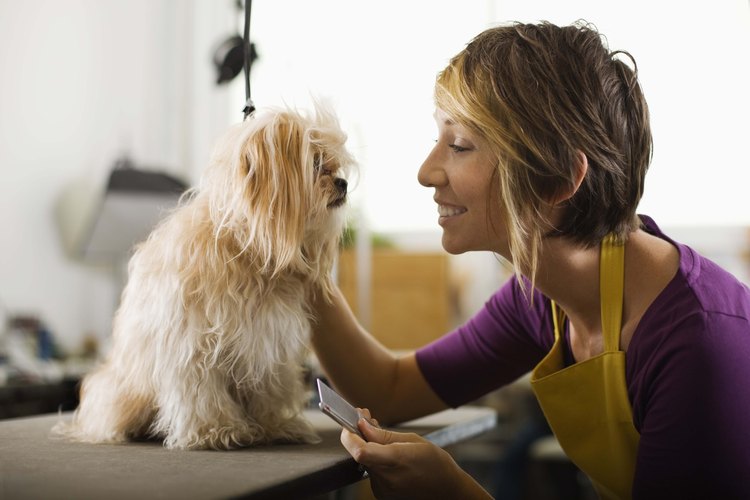 Tu perro estará tranquilo de forma natural.