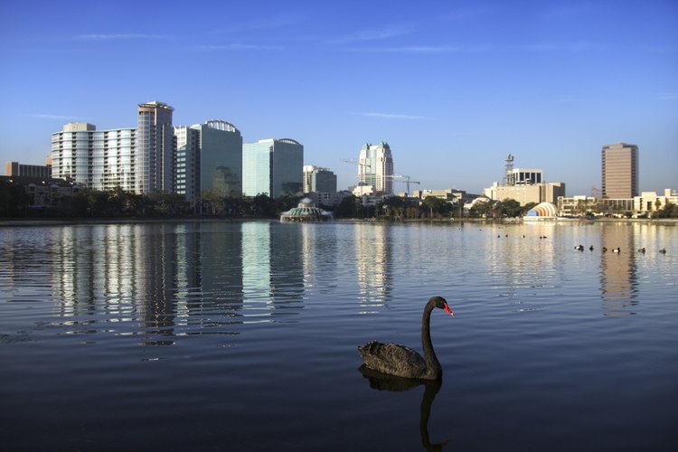 Mira más allá de la superficie para encontrar lugares románticos en Orlando.