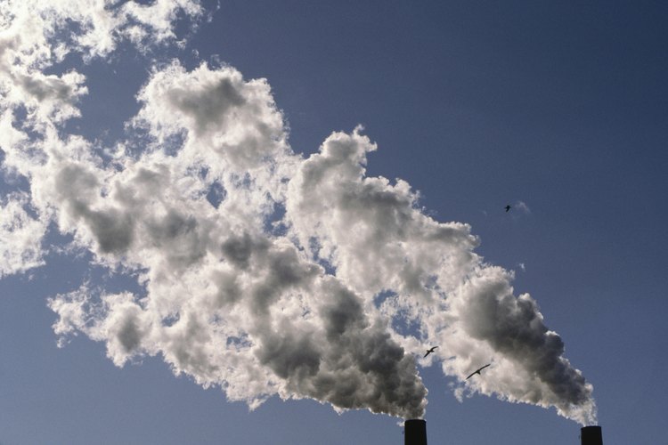 Contaminación.